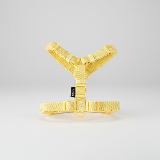 Harnais jaune en nylon doux Oscar et Plume harnais et laisse pour petit chien réglable et confortable