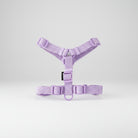 Harnais et laisse pour petit chien violet clair ajustable de la marque Oscar et Plume