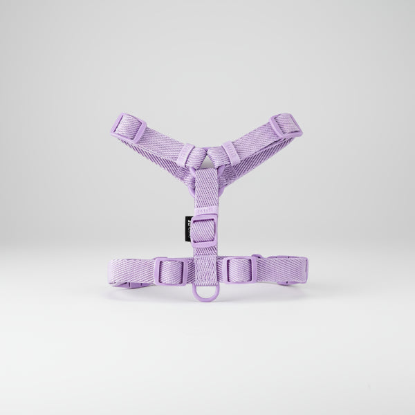 Harnais et laisse pour petit chien violet clair ajustable de la marque Oscar et Plume