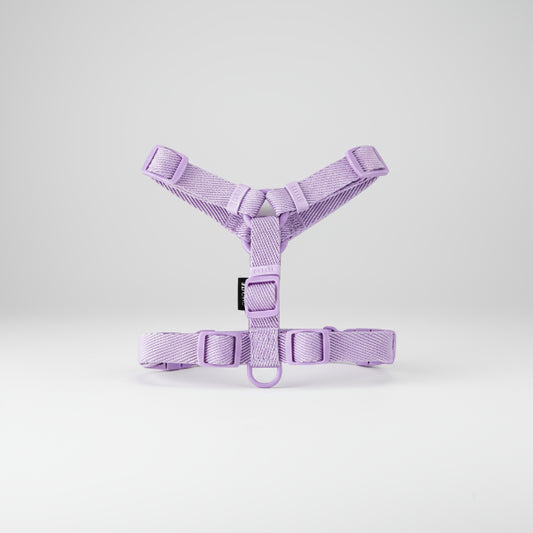 Harnais et laisse pour petit chien violet clair ajustable de la marque Oscar et Plume