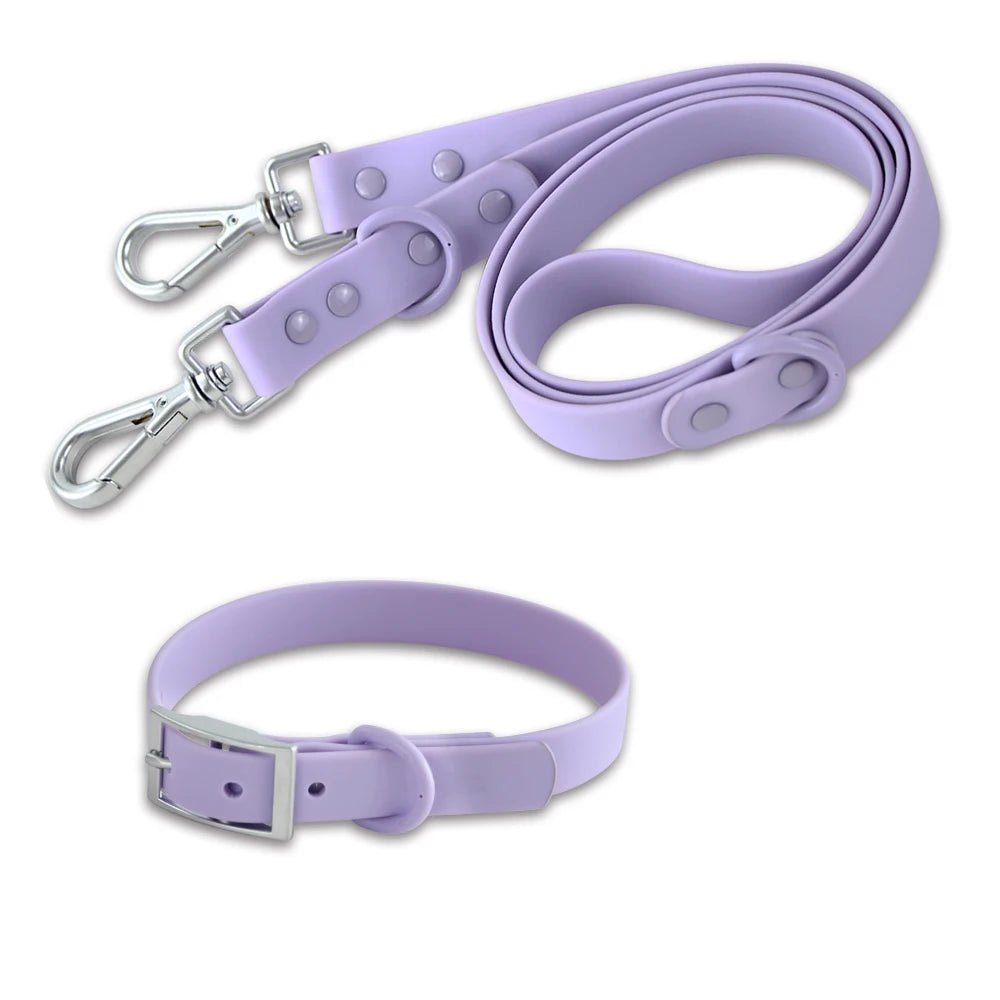 Harnais ou collier + laisse double pour chien Oscar et Plume Laisse + collier Violet / XS