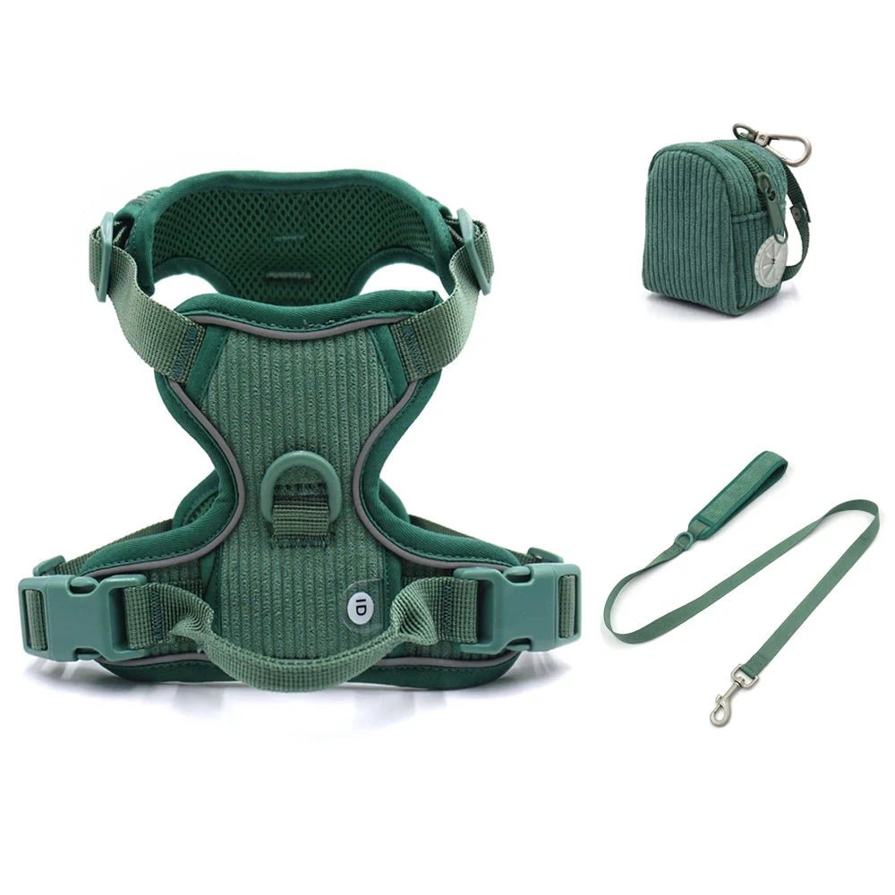 Harnais ou Ensemble personnalisable en velours pour chien - Oscar et Plume