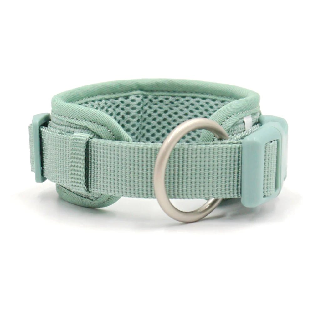 Harnais ou Ensemble personnalisable en velours pour chien - Oscar et Plume