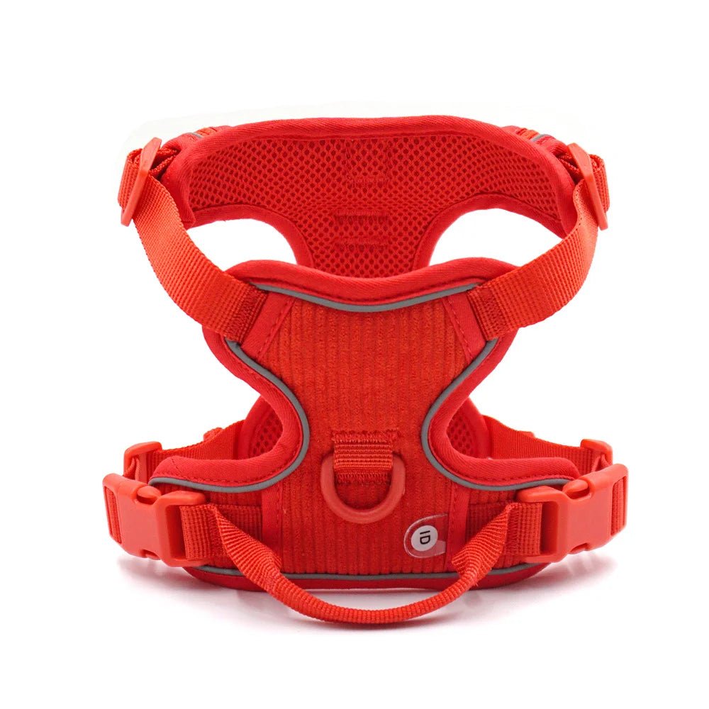 Harnais ou Ensemble personnalisable en velours pour chien - Oscar et Plume