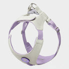 Harnais petit chien Oscar et Plume réglable en tissu beige et violet confortable et sécurisé