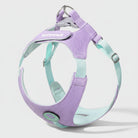 Harnais petit chien violet et bleu pastel ajustable pour promenade confortable Oscar et Plume