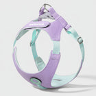 Harnais petit chien violet et bleu pastel ajustable pour promenade confortable Oscar et Plume