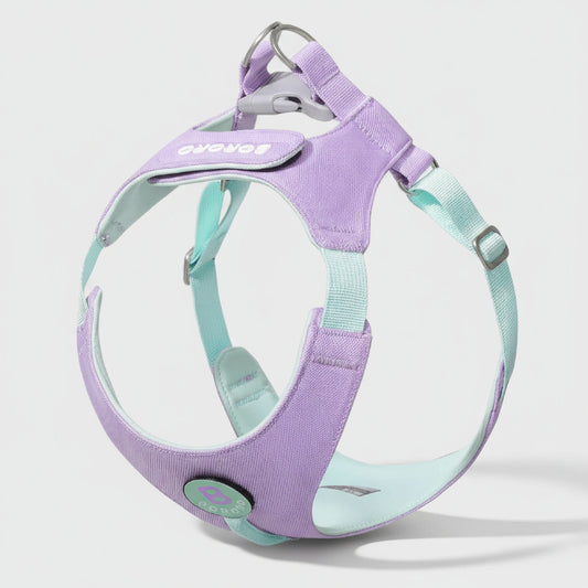 Harnais petit chien violet et bleu pastel ajustable pour promenade confortable Oscar et Plume