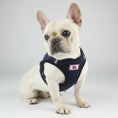 Carica l'immagine nel visualizzatore della galleria, Harnais petit chien velours côtelé bleu marine pour chiens confortables et élégants
