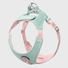 Harnais petit chien bleu et rose ajustable pour promenade confortable par Oscar et Plume