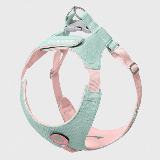 Harnais petit chien bleu et rose ajustable pour promenade confortable par Oscar et Plume