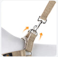 Carica l'immagine nel visualizzatore della galleria, harnais pour chien coton beige Oscar et Plume gros plan attache en metal mousqueton et anneaux
