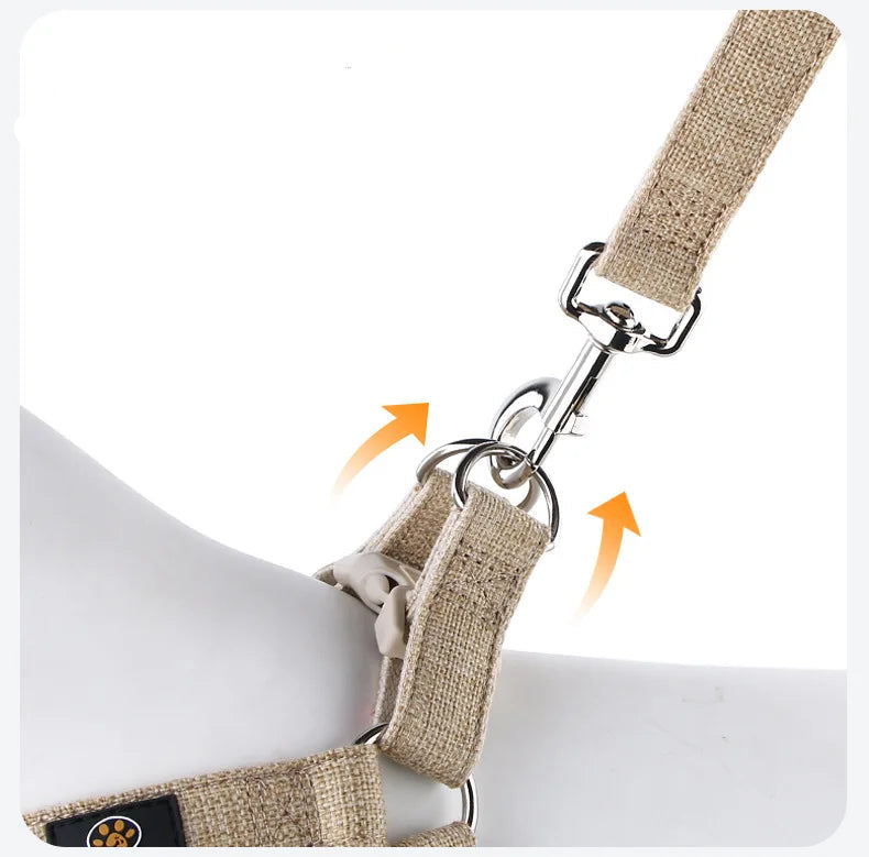 harnais pour chien coton beige Oscar et Plume gros plan attache en metal mousqueton et anneaux