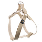 Oscar et Plume harnais pour chien coton beige ajustable avec boucle plastique et anneau en metal