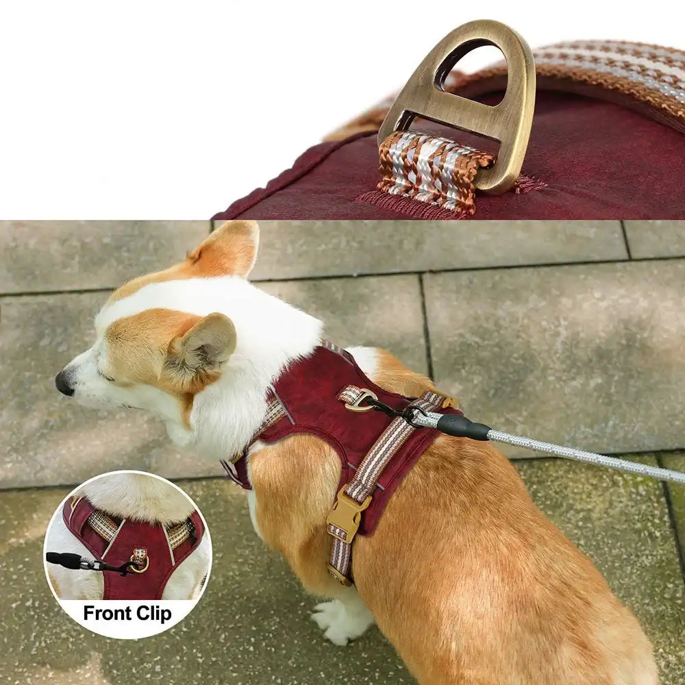 harnais pour chien moyen et grand bordeaux Oscar et Plume avec anneau avant et attache dorsale