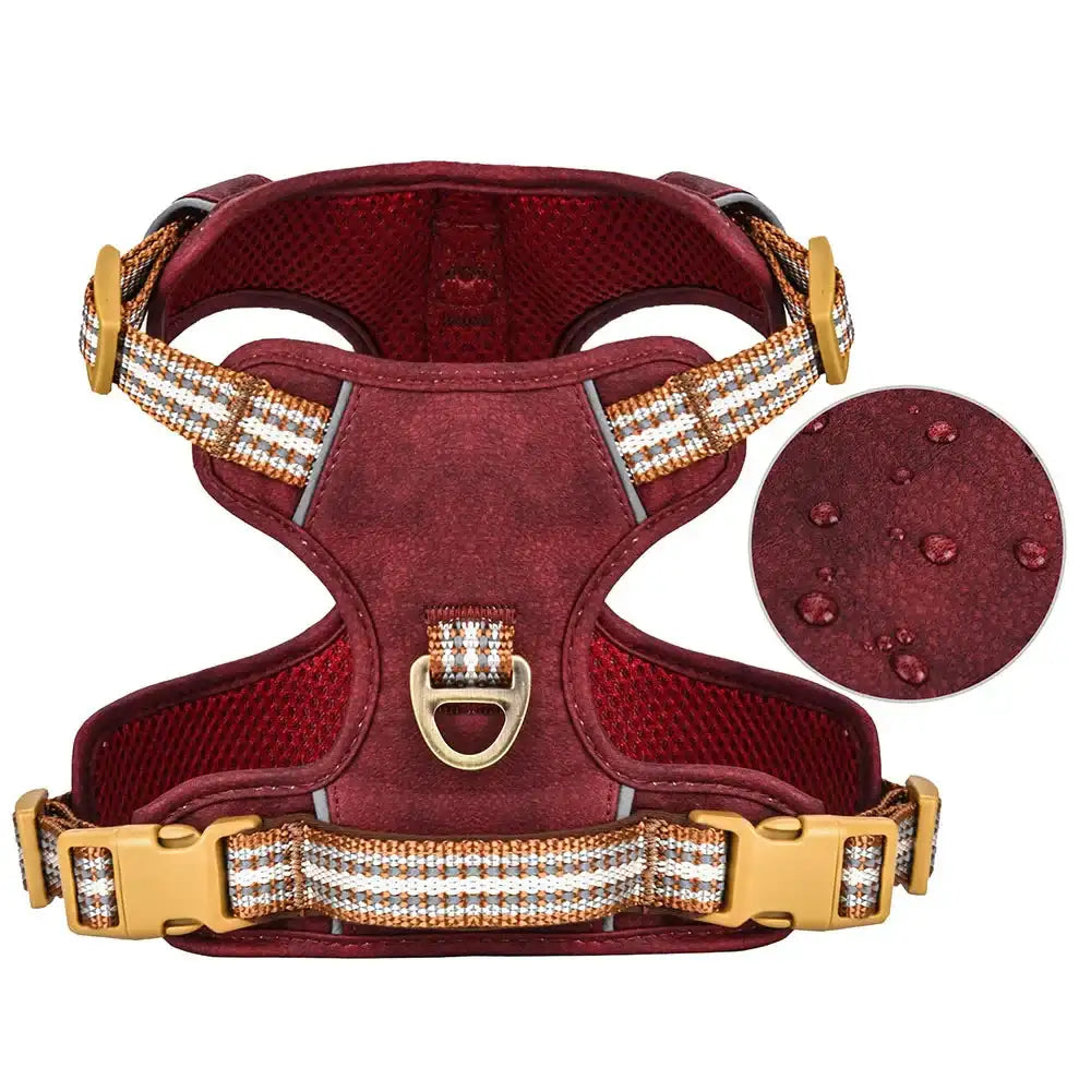 Oscar et Plume harnais pour chien moyen et grand rouge bordeaux rembourré avec boucles dorées et tissu déperlant
