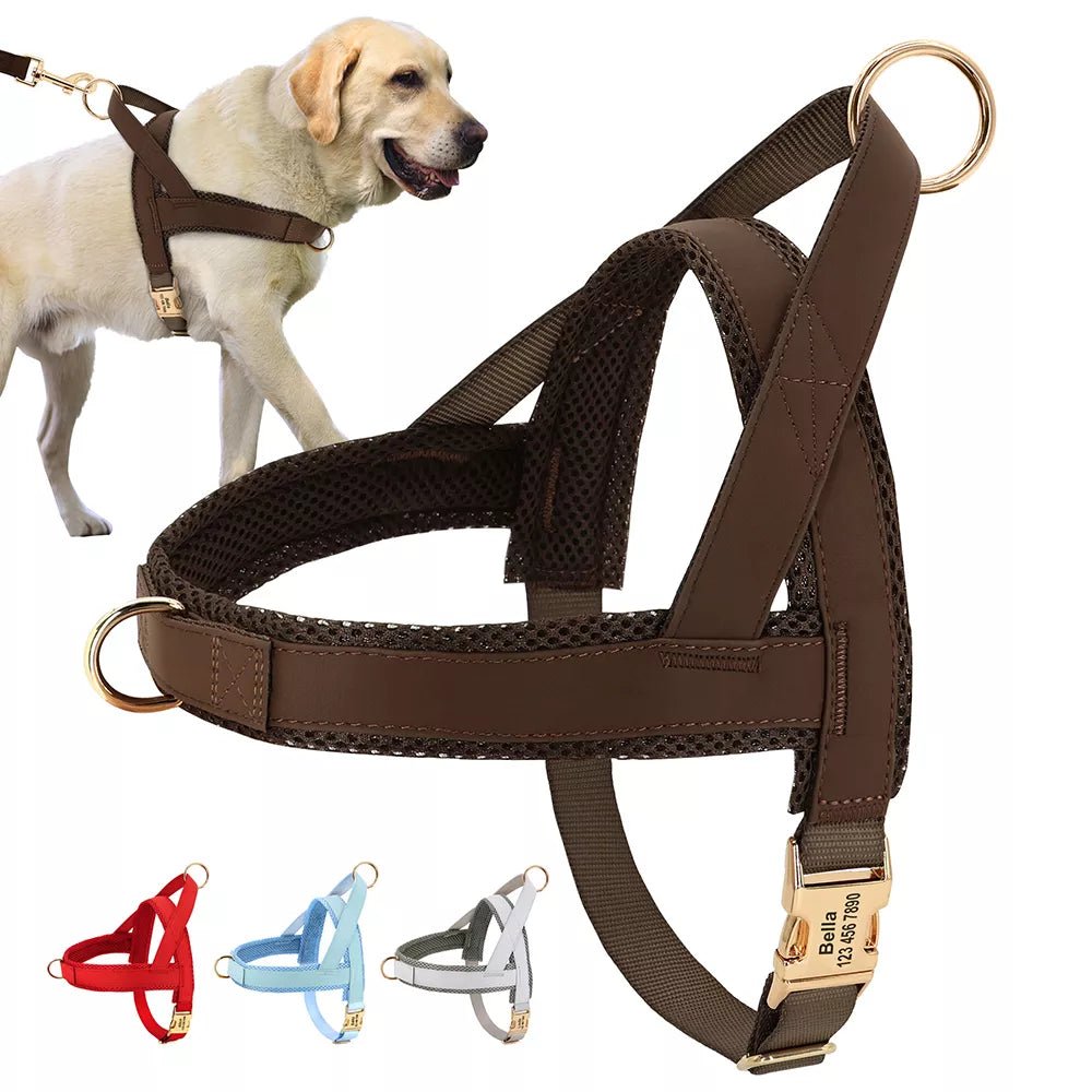 Harnais pour chien personnalisable Oscar et Plume Bleu / XS