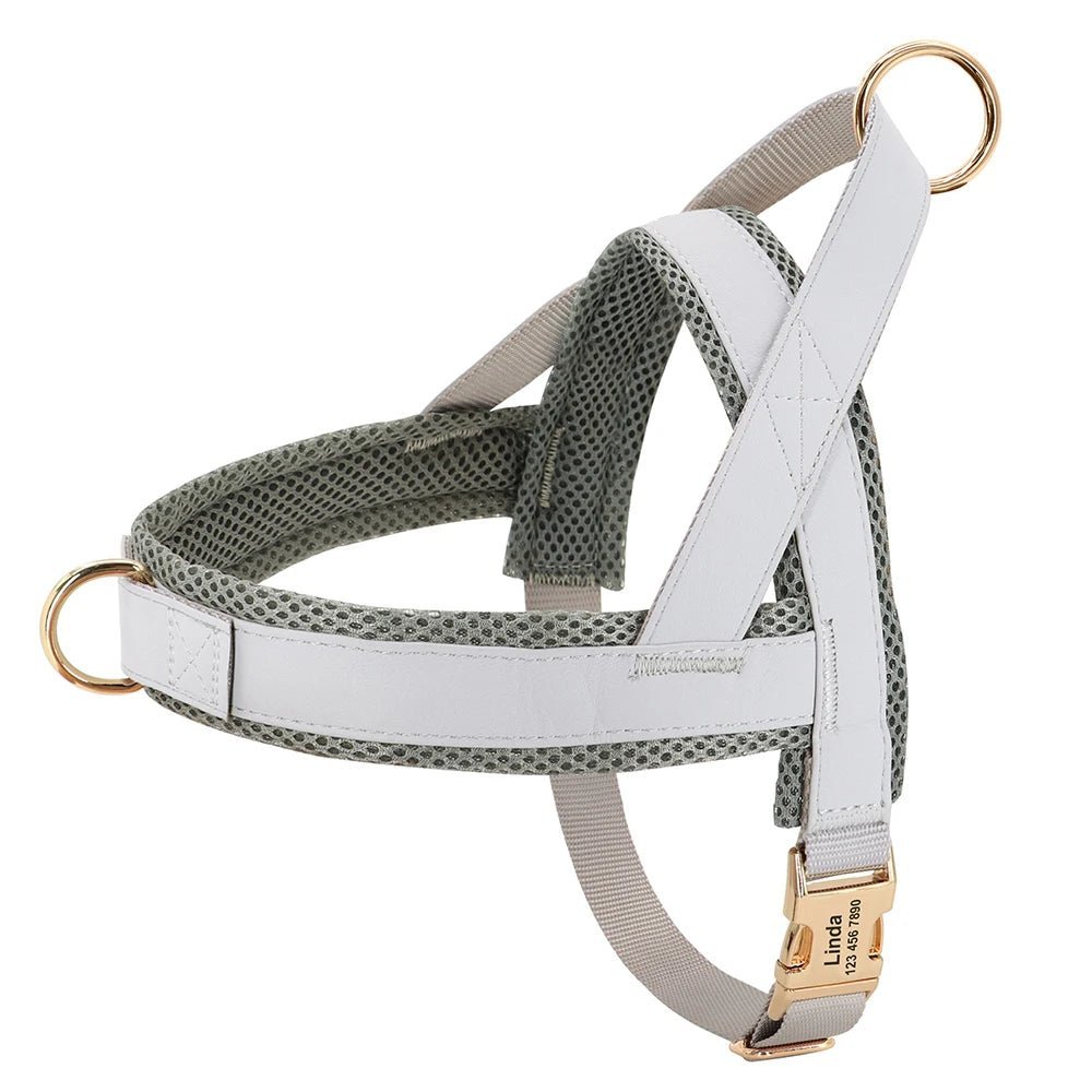 Harnais pour chien personnalisable Oscar et Plume Gris / XS