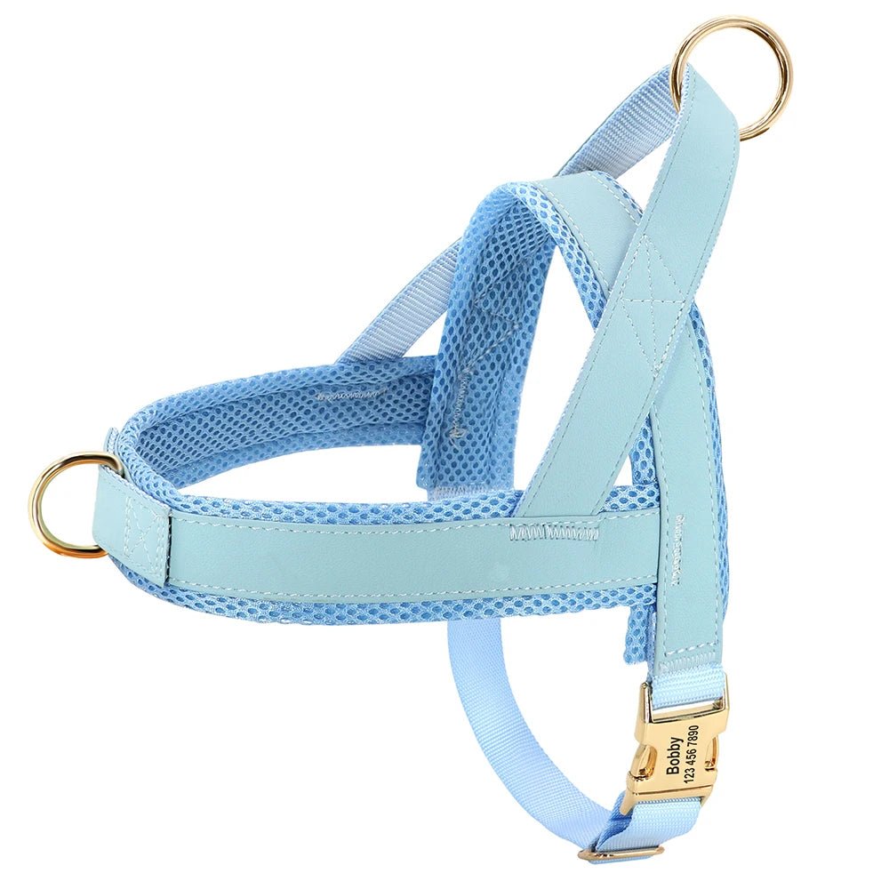 Harnais pour chien personnalisable Oscar et Plume Bleu / XS