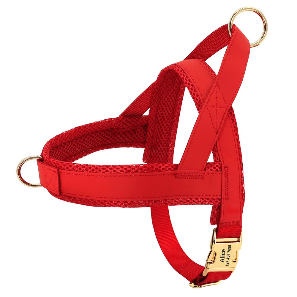 Harnais pour chien personnalisable Oscar et Plume Rouge / XS