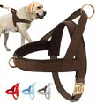 Charger l'image dans la visionneuse de la galerie, Harnais pour chien personnalisable en cuir durable Oscar et Plume
