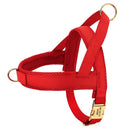 Harnais pour chien personnalisable en rouge avec tissu en maille respirante et boucles dorées