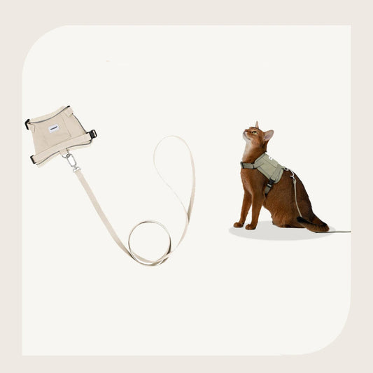 Harnais réfléchissant pour chat en beige avec laisse pour des promenades sécurisées