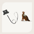 Carica l'immagine nel visualizzatore della galleria, Harnais réfléchissant pour chat avec un clip et une laisse pour des promenades sécurisées
