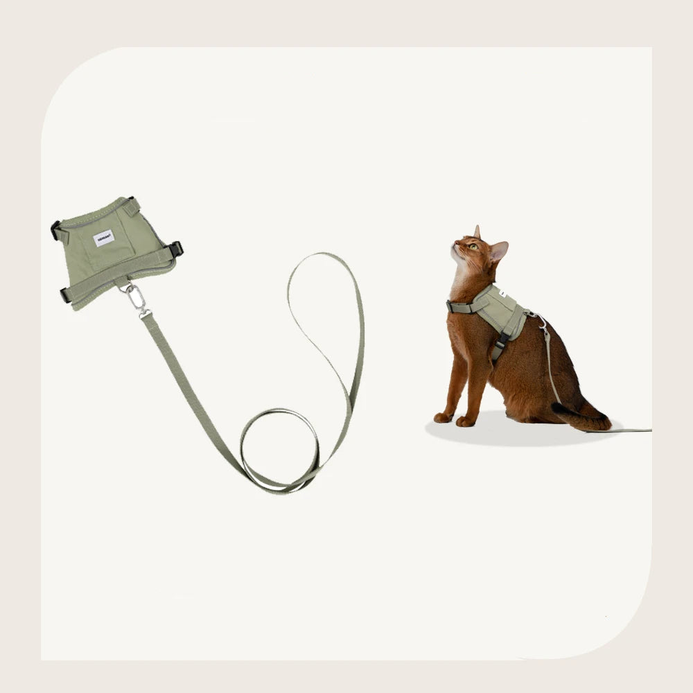 Harnais réfléchissant pour chat de Oscar et Plume avec laisse assortie, idéal pour les promenades sécurisées