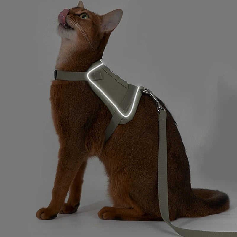 Harnais réfléchissant pour chat Oscar et Plume avec une finition confortable et sécurité améliorée