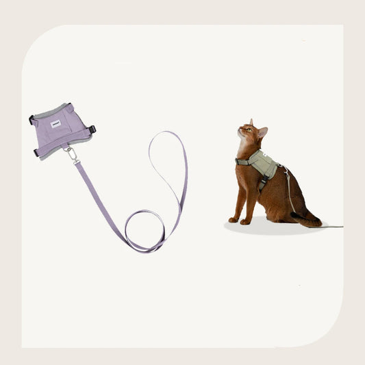 Harnais réfléchissant pour chat avec laisse assortie en violet, idéal pour les promenades en extérieur