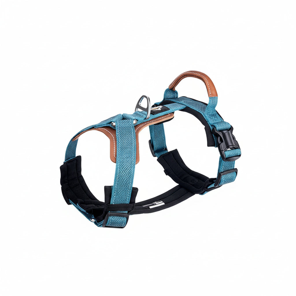 Harnais réfléchissant pour chien en bleu avec des poignées et des boucles réglables