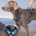 Charger l'image dans la visionneuse de la galerie, Harnais réfléchissant pour chien Oscar et Plume, conçu pour le confort et la sécurité lors des promenades
