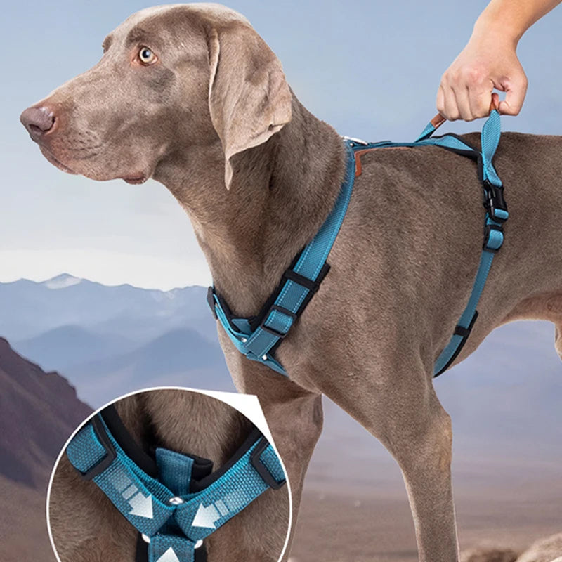 Harnais réfléchissant pour chien Oscar et Plume, conçu pour le confort et la sécurité lors des promenades