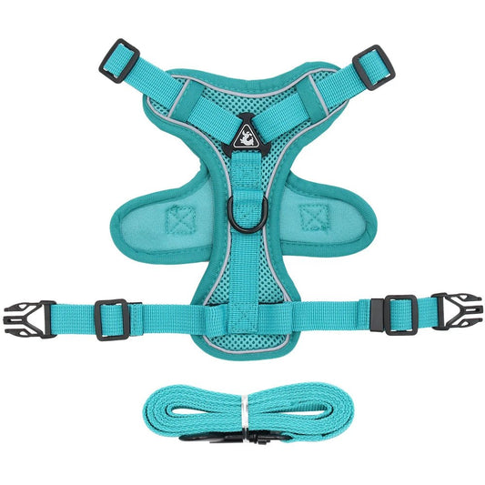Harnais réfléchissant pour chien bleu turquoise avec sangle ajustable et laisse assortie Oscar et Plume
