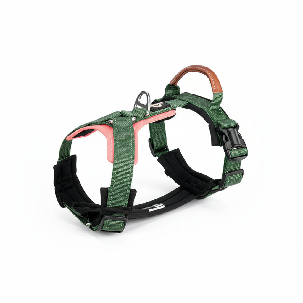 Harnais réfléchissant pour chien en vert avec rembourrage pour le confort et sécurité lors des promenades