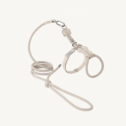 Harnais réglable pour chat de Oscar et Plume avec laisse assortie pour promenade confortable