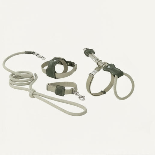 Harnais réglable pour chat Oscar et Plume en beige avec laisse assortie pour promenades confortables