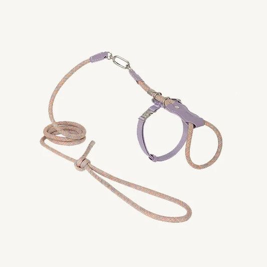 Harnais réglable pour chat en violet avec laisse assortie pour une promenade confortable