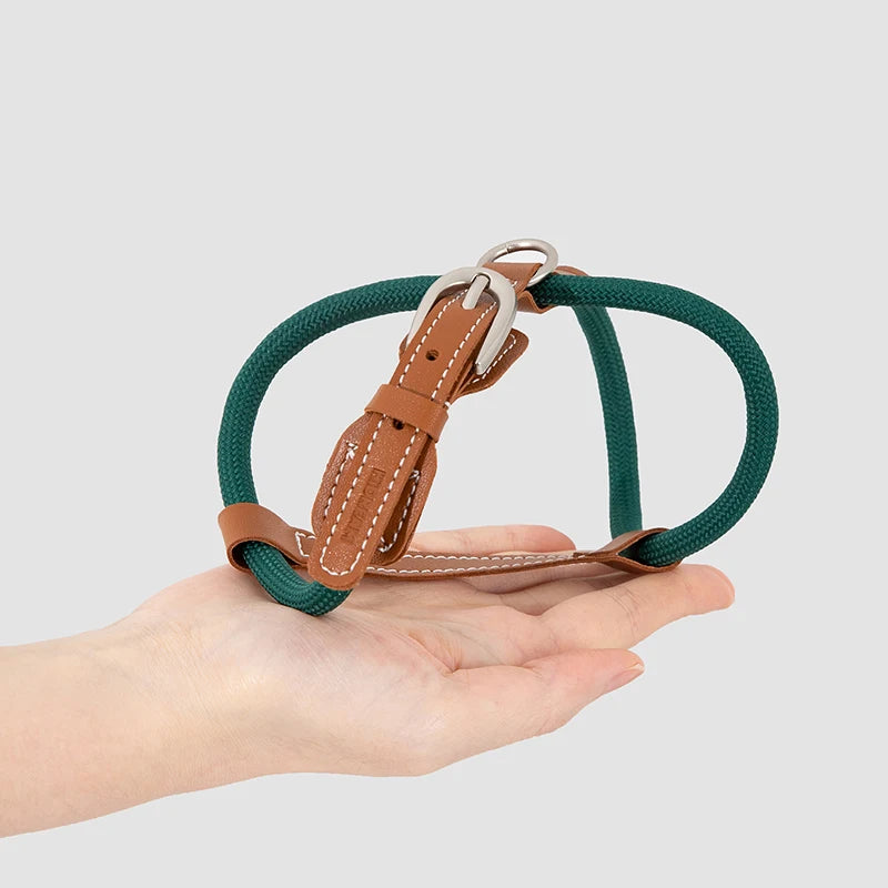 Harnais réglable pour chat en corde verte avec détails en cuir, facile à ajuster pour le confort