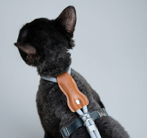 Harnais réglable pour chat en gris avec détails en cuir, idéal pour les promenades et le confort de votre animal.