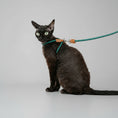 Load image into Gallery viewer, Chat noir portant un harnais réglable pour chat avec une laisse élégante à l'extérieur
