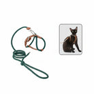 Harnais réglable pour chat en vert avec laisse assortie pour le confort et la sécurité des félins