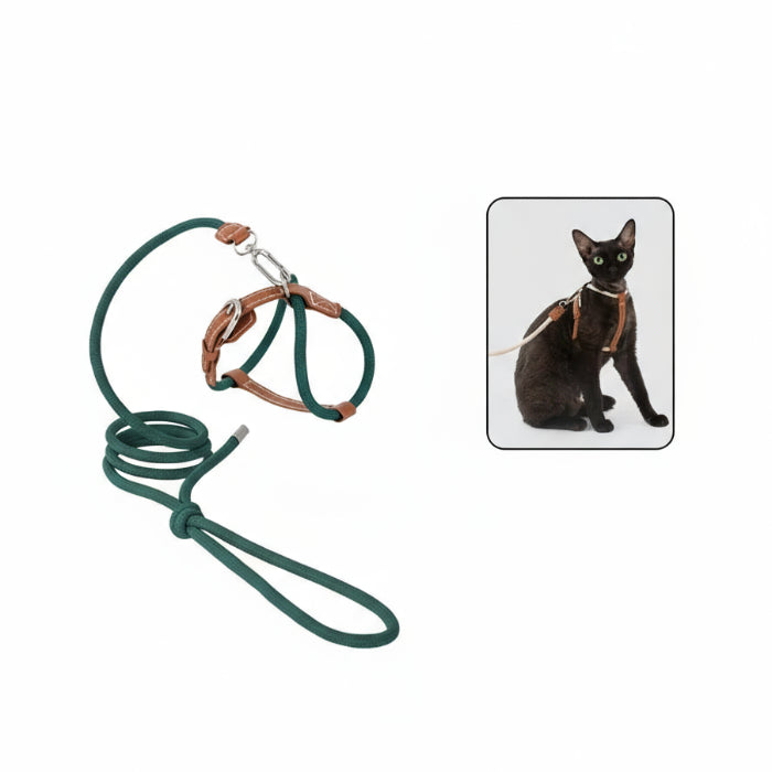 Harnais réglable pour chat en vert avec laisse assortie pour le confort et la sécurité des félins