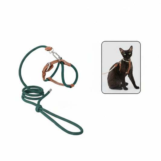 Harnais réglable pour chat en vert avec laisse assortie pour le confort et la sécurité des félins