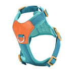 Oscar et Plume harnais robuste pour chien bleu turquoise rembourre avec plaque cuir orange et anneau metal