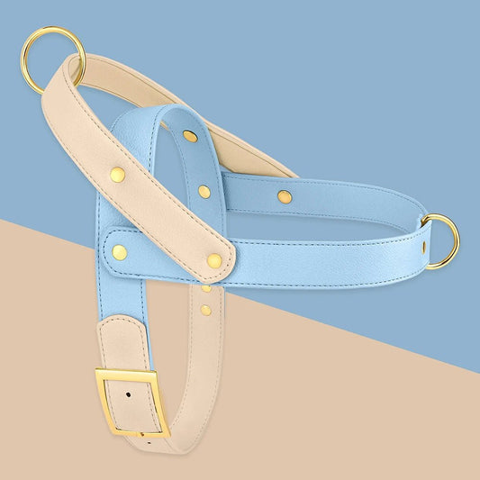 Harnais chien élégant bleu et beige avec boucles dorées par Oscar et Plume