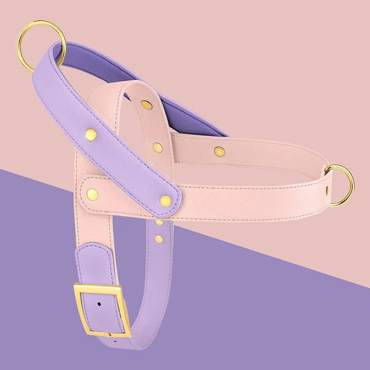 Harnais chien élégant en cuir rose et violet avec boucles dorées par Oscar et Plume