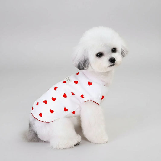 Chien blanc portant un t-shirt élégant pour chien blanc avec des petits coeurs rouges Oscar et Plume
