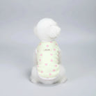 Chien blanc portant un t-shirt élégant pour chien à motifs de cœurs roses sur fond vert pâle